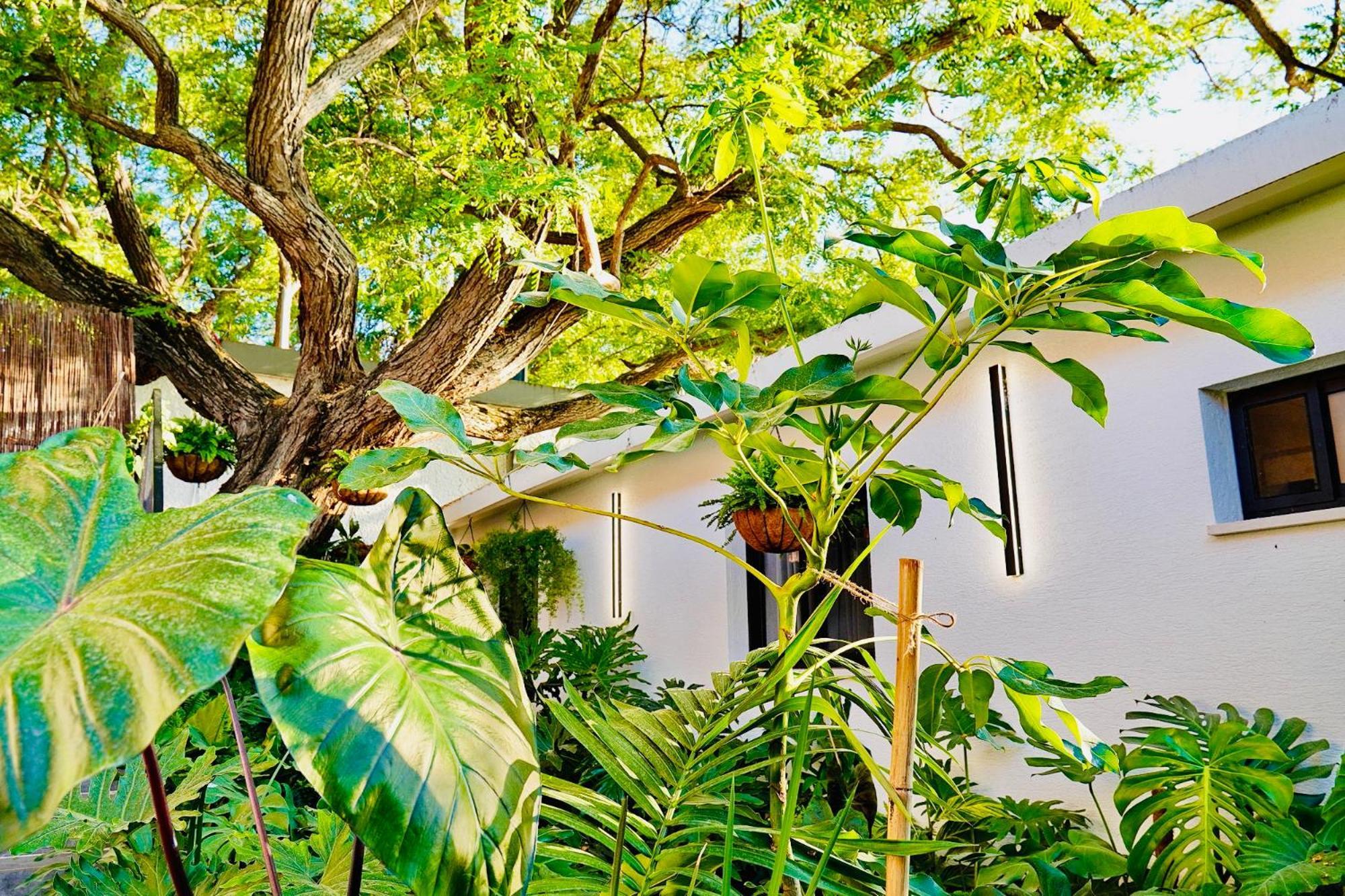 אדמת הארץ - Admat Haaretz Villa Hazon Luaran gambar